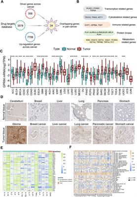 A multi-omic approach reveals utility of CD45 expression in prognosis and novel target discovery